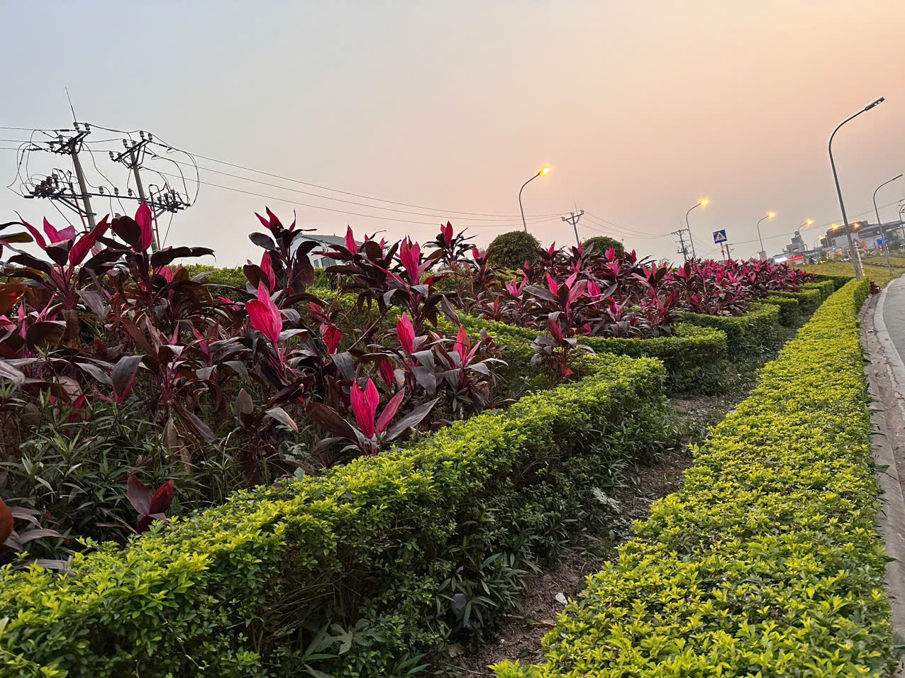 Bán nhà phân lô vỉa hè view công viên